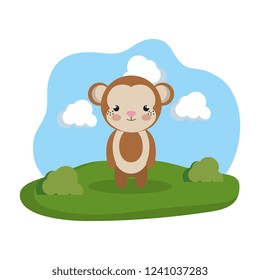 cute monkey in the camp
