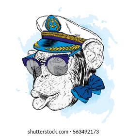 Cute monkey in the captain's cap. Vector illustration.