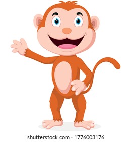 cute monkey cartoon isolated on white background