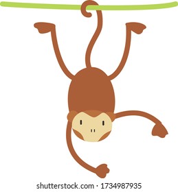 Cute Monkey Cartoon, Vector illustration Monkey on a white background. Drawing for children