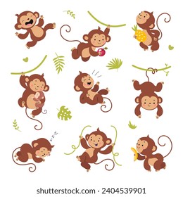 Cute monkey characters. Childish cartoon monkeys, isolated primates hang on vine in different poses. Wild tropical animals nowaday vector clipart