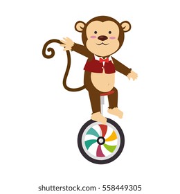 cute monkey circus animal