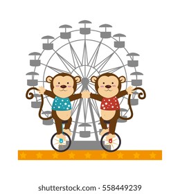 cute monkey circus animals