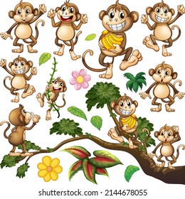 Cute monkey in different actions illustration