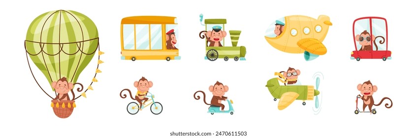 Cute Monkey Driving and Riding Transport Vector Set