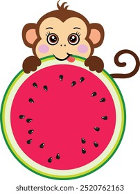 Cute monkey eating watermelon slice