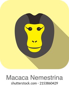 cute monkey face, Macaca nemestrina flat icon design, vector illustration