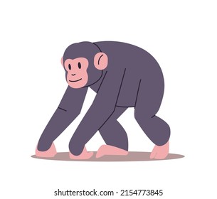 cute monkey funny tropical animal cartoon primate