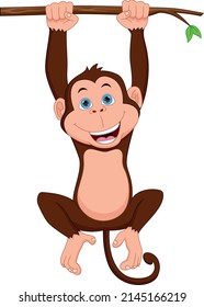 cute monkey hanging on the tree