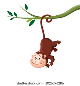 Cute Monkey Hanging From A Tree