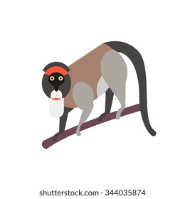 Cute monkey icon, logo, symbol. Vector illustration isolated on a background.
