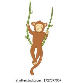 Cute monkey isolated on a white background. Vector graphics.
