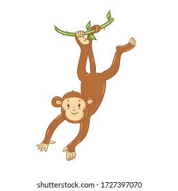 Cute monkey isolated on a white background. Vector graphics.