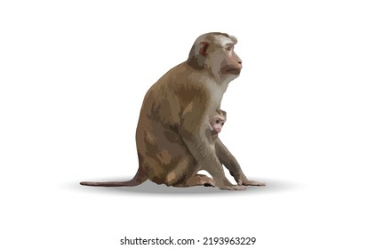 Cute Affe einzeln auf weißem Hintergrund. Vektorgrafik