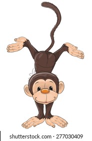 Cute Monkey isolated on a white background