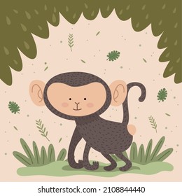 cute monkey in jungle character