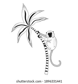 Cute monkey on palm tree isolated vector illustration. Jungle animal black and white childish graphic drawing Perfect for one colour silk screen printing t-shirt design