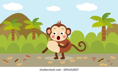 Cute monkey picking peanuts from the floor in forest
