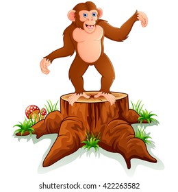 Cute monkey posing on tree stump