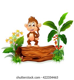 Cute monkey posing on tree trunk