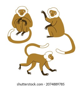 Cute monkey set isolated on white background. Stylish hand-drawn animal illustration. 