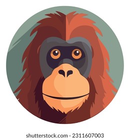 Cute monkey sitting in tropical rainforest isolated