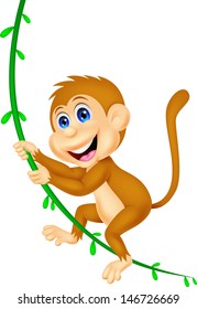 Cute monkey swinging