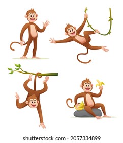 Cute monkey in various poses cartoon illustration