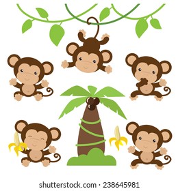Cute monkey vector illustration