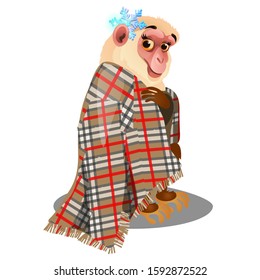 Cute monkey wrapped in plaid plaid isolated on a white background. Vector cartoon close-up illustration