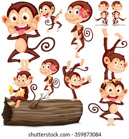 Cute monkeys in different positions illustration