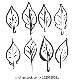 Cute monochrome brush pen leaf illustration. Childish hand drawn foliage clipart. 