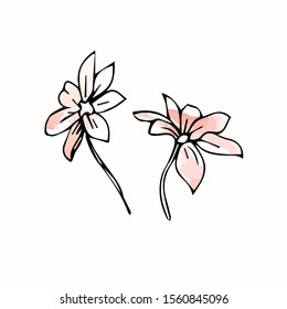 Cute monochrome flowers
 with pink watercolor fill. In vintage style, isolated objects on a white background for textile, packaging, paper and your design.