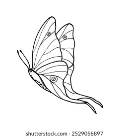 Ilustração de vetor de borboleta tropical voadora monocromática bonita em estilo abstrato. Desenho preto e branco de inseto decorativo pintado por tintas. Para design art deco, cartão postal, página de coloração.