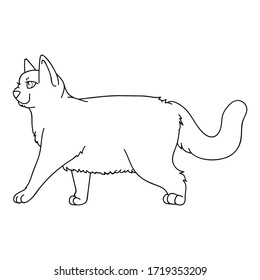 Cute monochrome lineart British shorthair cat vector clipart. Pedigree kitty breed for cat lovers. Purebred domestic kitten for pet parlor illustration mascot. Isolated feline housecat. EPS 10.