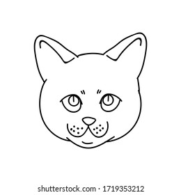 Cute monochrome lineart British shorthair kitten face vector clipart. Pedigree kitty breed for cat lovers. Purebred domestic kitten for pet parlor illustration mascot. Isolated feline housecat. EPS 10