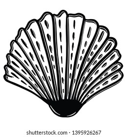 Cute monochrome sea shell lineart cartoon vector illustration motif set. Hand drawn isolated ocean mollusc elements clipart for seaside blog, nautical graphic, wildlife web buttons.