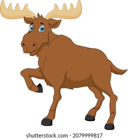 cute moose cartoon on white background