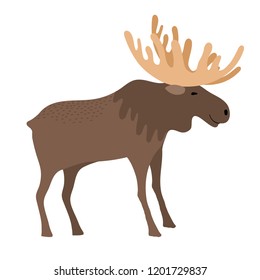 Cute moose cartoon, cute vector elk with large horns, vector illustration