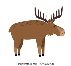 Cute moose flat illustration. Deer, reindeer with big antlers. Woodland animal character. Forest fauna. Zoo mammal. Elk clipart. Postcard, kids book design element