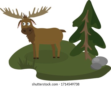 Cute Moose in flat style isolated on white background. Vector illustration. Forest animal. Cartoon elk