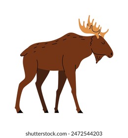 Cute moose. Forest animal. Vector illustration. White isolated background. 