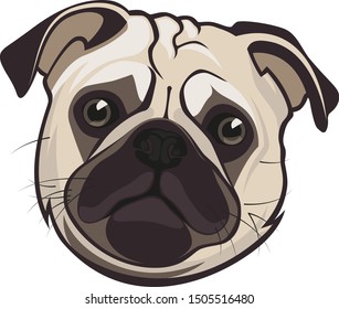 Cute mops dog head, vector image