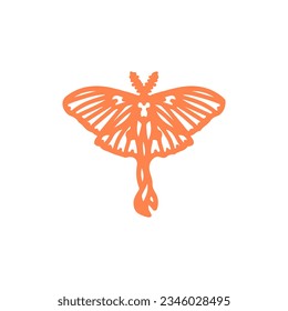 cute moth vector illustration concept