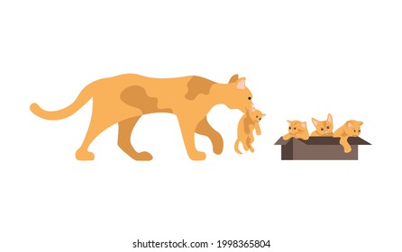 Cute mother cat carries a red kitten to the box isolated on white background. Flat Art Vector Illustration