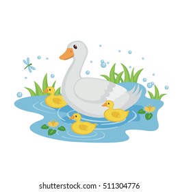 Cute mother duck with ducklings swimming in the pond isolated on white background. Baby shower design. Farm bird duck. Vector illustration.