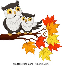 Cute mother owl cartoon and baby on tree branches