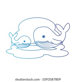 cute mother and son whales characters