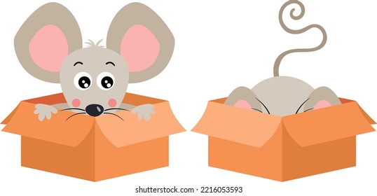 Cute mouse in cardboard box