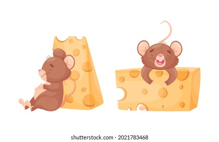 Cute Mouse Character Sitting Near Huge Cheese Slab Vector Set